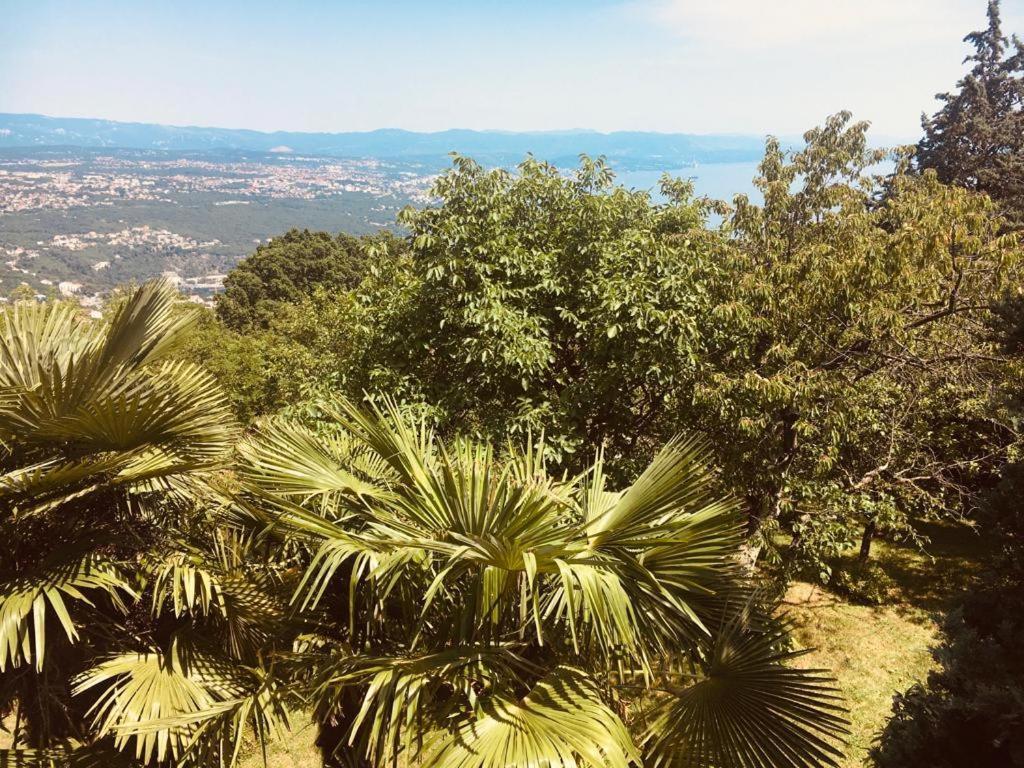 Luxury Apartment With Private Pool And 2 Bedrooms In Villa Opatija Bay View Kültér fotó