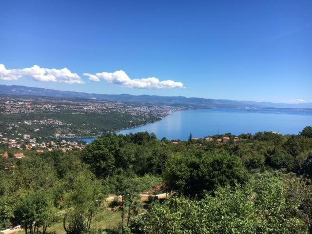 Luxury Apartment With Private Pool And 2 Bedrooms In Villa Opatija Bay View Kültér fotó